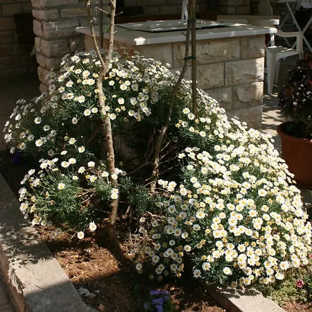 公寓 By The Sea Mandre, Pag - 6457