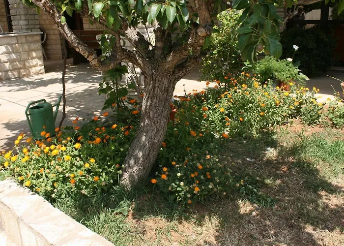 By The Sea Mandre, Pag - 6457 كولان
