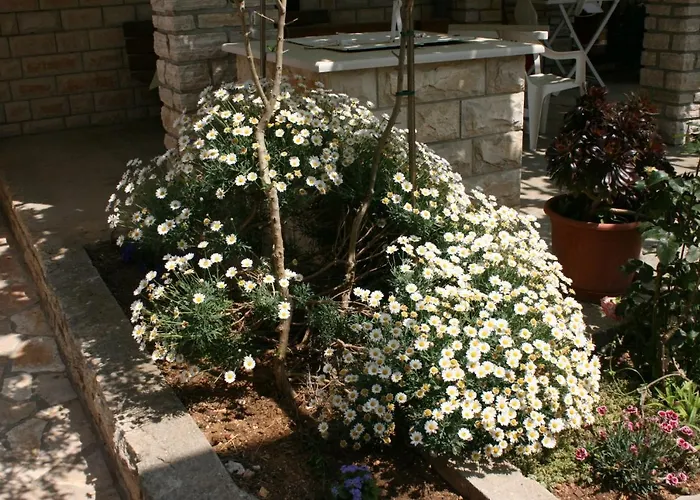 아파트 By The Sea Mandre, Pag - 6457